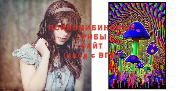 сатива Алзамай