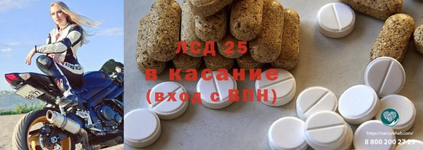 сатива Алзамай