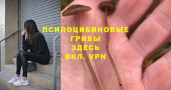 каннабис Коряжма